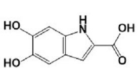 5,6-Dihydroxy-indole-2-carboxylicacid/4790-08-3