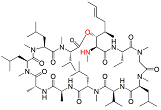 Isocyclosporin A  |  59865-16-6