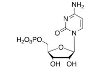 Cytidine 5-Monophosphate ;5'-Cytidylic Acid; Cytidine 5'-Phosphate; Cytidine 5'-Phosphoric Acid; Cytidine Monophosphate; Cytidine Mono(dihydrogen phosphate)(Ester); Cytidylic Acid; Cytosine 5'-Monophosphate;  |63-37-6