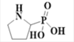 2-Phosphono pyrrolidine ;Alendronic Acid Impurity  |73858-59-0