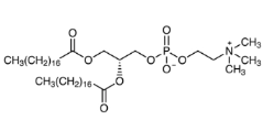 PHOSPHATIDYLCHOLINE (DSPC) ;1,2-Dioctadecanoyl-sn-glycero-3-phosphocholine (R)-2,3-Bis(stearoyloxy)propyl [2-(Trimethylammonio)ethyl] Phosphate DSPC|816-94-4