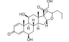 Budesonide 6-beta-Hydroxy Impurity ;(6β,11β,16α)-16,17-[Butylidenebis(oxy)]-6,11,21-trihydroxypregna-1,4-diene-3,20-dione  |  88411-77-2