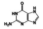Aciclovir Impurity B ; 2-amino-1,7-dihydro-6H-purin-6-one (guanine) | 73-40-5