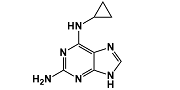Abacavir Cyclopropyl Diamino Purine Impurity; Abacavir Impurity 1; N6-Cyclopropyl-9H-purine-2,6-diamine; 120503-69-7
