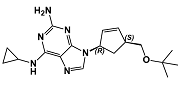 Abacavir Impurity F; Abacavir tertiary butyl Impurity; N6-cyclopropyl-9-((1R,4S)-4-{[(1,1-dimethylethyl)oxy]methyl}-2-cyclopenten-1-yl)-9H-purine-2,6-diamine  |  1443421-68-8