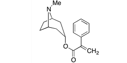 Apoatropine (impurity A); Apoatropin;  (1R,3r,5S)-8-Methyl-8-azabicyclo[3.2.1]octan-3-yl 2-phenylacrylate | 500-55-0