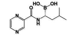 Bortezomib Impurity 10174-0511 ; (R)-[3-methyl-1-(pyrazine-2-carboxamido)butyl]boronic acid