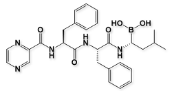 Bortezomib Impurity 10174-0629 ; ((R)-3-Methyl-1-((S)-3-phenyl-2-((S)-3-phenyl-2-(pyrazine-2-carboxamido)propanamido)propanamido)butyl)boronic Acid