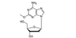 Cladribine EP Impurity B ;Cladribine USP RC A ;(2R,3R,5R)-5-(6-Amino-2-methoxy-9H-purin-9-yl)-2-(hydroxymethyl)-tetrahydrofuran-3-ol ;