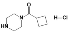 1-(Cyclobutylcarbonyl)piperazine hydrochloride   (CAS: 1428443-87-1)