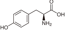 L-Tyrosine ; H-Tyr-OH | 60-18-4