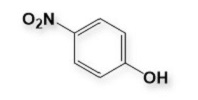 Acetaminophen Impurity F ; Paracetamol Impurity F | 100-02-7