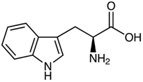 L-Tryptophan; (S)-(-)-2-Amino-3-(3-indolyl)propionic Acid  (CAS: 73-22-3)