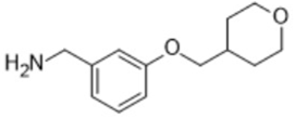 1-{3-[(oxan-4-yl)methoxy]phenyl}methanamine (CAS: 1339447-14-1)
