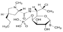 Clindamycin 4-phosphate; Methyl7-chloro-6,7,8-trideoxy-6-[[[(2S,4R)-1-methyl-4-propylpyrrolidin-2-yl]carbonyl]amino]-1-thio-L-threo-α-D-galacto-octopyranoside 4-(dihydrogen phosphate) (CAS: 54887-30-8)