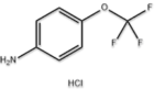 4-(Trifluoromethoxy)aniline hydrochloric acid (CAS: 42823-24-5)