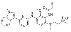 N-Oxide impurity; 2-((2-Acrylamido-S-methoxy-4-((4-(1-methyl-1H-indol-3-yl) pyrimidin-2- yl) amino) phenyl) (methyl) amino)-N,N- dimethylethan-1-amine oxide