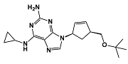 O-t-Butyl Derivative Abacavir (USP); Abacavir t-Butyl Ether;  6-(Cyclopropylamino)-9-[(1R,4S)-4-[[(1,1-dimethylethyl)oxy]methyl]cyclopent-2-enyl]-9H-purine-2-amine ; 1443421-68-8