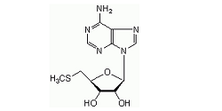 Methylthioadenosine (MTA) Impurity ; 5'-S-Methyl-5'-Thioadenosine | 2457-80-9