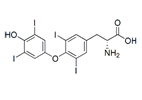 Levothyroxine D-Isomer ; (2R)-Amino-3-(4-(4-hydroxy-3,5-diiodophenoxy)-3,5-diiodophenyl) propanoic acid  |  51-49-0