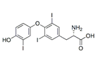 Levothyroxine EP Impurity A ;Liothyronine ; (2S)-2-Amino-3-[4-(4-hydroxy-3-iodophenoxy)-3,5-diiodophenyl]propanoic acid  |  6893-02-3