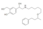 Salmeterol EP Impurity E ;Salmeterol USP Related Compound B ;1-[4-Hydroxy-3-(hydroxymethyl)phenyl]-2-[[6-(1-methyl-3-phenylpropoxy) hexyl] amino]ethanol  |  108928-81-0